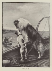 Parti à terre